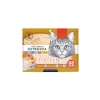 Dört Lezzetli Krema Kedi Ödülü - 50 Adet (14 gr)