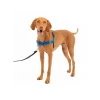 Easy Walk Köpek Koşum Takımı