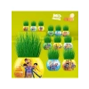 Eğitici Çim Adam Yetiştirme Kiti - 6lı Set