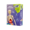 Eğitici İnsan Anatomisi Seti