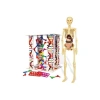 Eğitici İnsan Anatomisi Seti