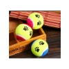 Eğlenceli Köpek Eğitim Topu - 6,5 cm