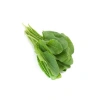 Ekşi Kuzukulağı Tohumu - 3 Gram