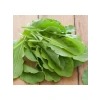 Ekşi Kuzukulağı Tohumu - 3 Gram