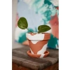 El Yapımı Terracotta Konik Saksı + Tabak - Bohem Beyaz (Küçük)