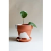 El Yapımı Terracotta Konik Saksı + Tabak - Bohem Beyaz (Küçük)