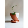 El Yapımı Terracotta Konik Saksı + Tabak - Bohem Beyaz (Küçük)
