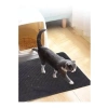 Elekli Kum Paspası ile Kedi Tuvaleti Alanınızı Temiz Tutun