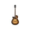Elektro Akustik Gitar