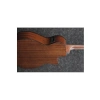 Elektro Akustik Gitar