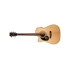 Elektro Akustik Gitar - Kılıflı ve 6 Tel ile