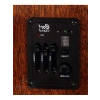 Elektro Akustik Gitar - Kılıflı ve 6 Tel ile