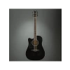 Elektro Akustik Gitar - Yüksek Ses Kalitesi