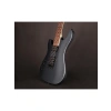Elektro Gitar, 1 Hacim ve 1 Ton Kontrolü ile