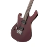 Elektro Gitar - G300PRO Modeli