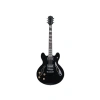 Elektro Gitar Modeli SEG-272BK