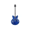 Elektro Gitar Modeli SEG-272TBL