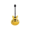 Elektro Gitar - Yüksek Ses Kalitesi