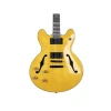 Elektro Gitar - Yüksek Ses Kalitesi