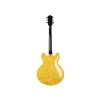 Elektro Gitar - Yüksek Ses Kalitesi