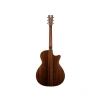 Elektronik Akustik Gitar, Yüksek Ses Kalitesi ile
