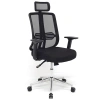 Ergonomik Ofis ve Çalışma Koltuğu