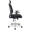 Ergonomik Ofis ve Çalışma Koltuğu