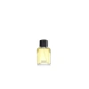 Ferahlatıcı Parfüm 100 Ml - Gün Boyu Etkileyici Koku