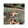 Fındık Toplama Filesi, %40 Kenar Düz, Yeşil, 4 m x 100 m