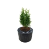 Fırınlanmış Metal Büyük Saksı - 33-38 cm Yükseklik, 45-55 cm Çap