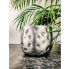 Gümüş Desenli 19 cm Toprak Saksı - Ev Dekorasyonu