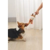 Güvenli ve Toksik Olmayan Köpek Oyuncağı