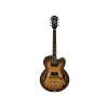 Hallow Body Elektro Gitar