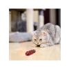 Hareketli Uğur Böceği Şeklinde Kedi Oyuncağı