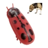 Hareketli Uğur Böceği Şeklinde Kedi Oyuncağı