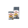 Hassas Tüylü Kediler İçin Besleyici Mama - 2 Kg
