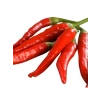 Hatay Acı Biber Tohumu - 5 Gram