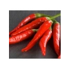 Hatay Acı Biber Tohumu - 5 Gram