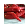 Hatay Acı Biber Tohumu - 5 Gram