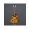 Hollow Body Elektro Gitar - Yüksek Ses Performansı