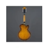 Hollow Body Elektro Gitar - Yüksek Ses Performansı