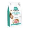 İdrar Yolu Problemi Olan Kısırlaştırılmış Kediler için Hipoalerjenik Kuru Mama - 2 kg
