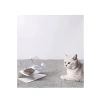 İki Adet Şeffaf Kedi Kafalı Mama Kabı