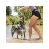 İki Köpek İçin Ultra Dayanıklı Çekiştirme Topu (6,5 cm)