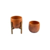 İkili Set Siyah Nokta Desenli 19 CM Toprak Saksı