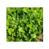 İnce Tere Tohumu - 10 Gram