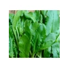İnce Tere Tohumu - 10 Gram