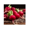 İri Kırmızı Turp Tohumu - 10 Gram