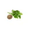 İri Yaprak Maydanoz Tohumu - 10 Gram