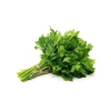 İri Yaprak Maydanoz Tohumu - 10 Gram